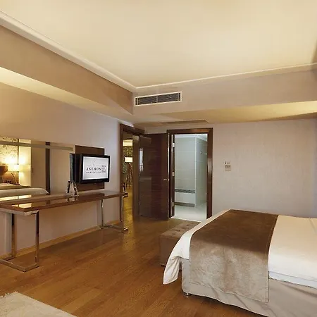 Hotel Anemon Grand