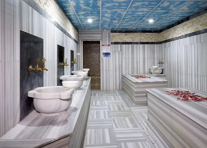 Hotell Anemon Grand 5*